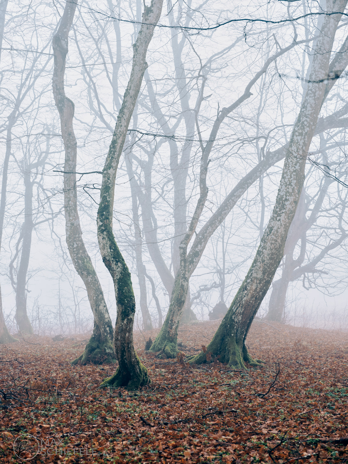 2020 01 05 14 01 49 (B,Radius27,Smoothing1) 1